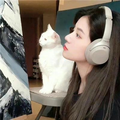 宠物粉红鹅卵石